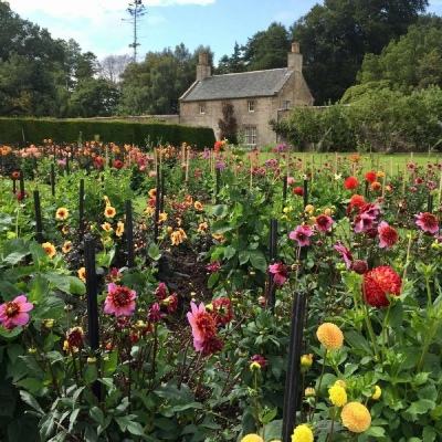 贝博app代言艾弗森手机app下载