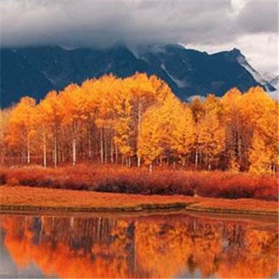 南宫体育app下载app下载